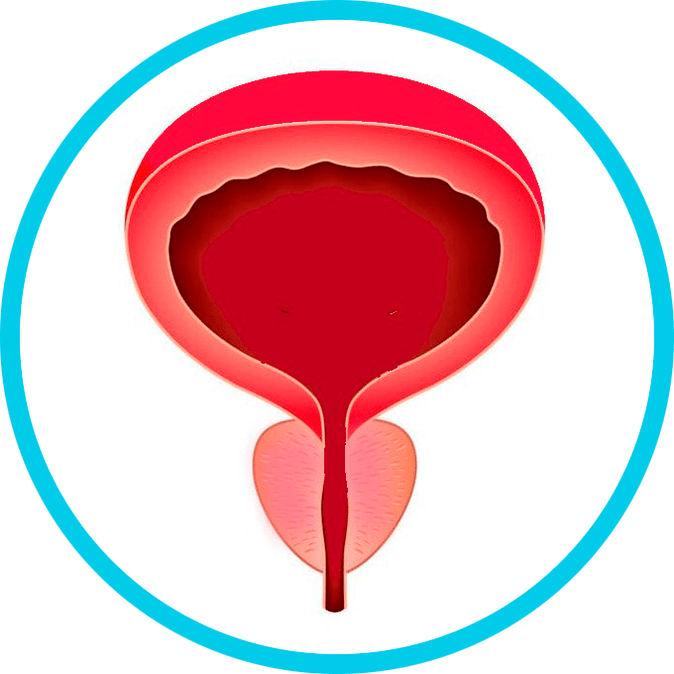 Профилактика на простатит